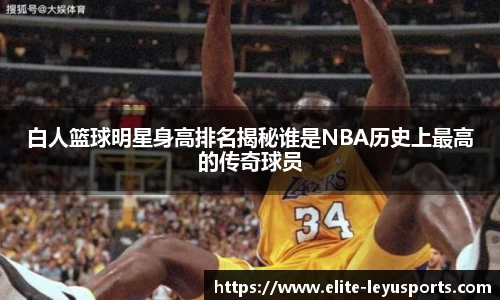 白人篮球明星身高排名揭秘谁是NBA历史上最高的传奇球员